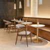 Goka Beige & Walnut Modern Dining Chair