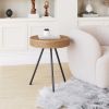 Stuart Natural Modern Wood & Rattan Side Table with Steel Frame