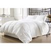 Queen Hypoallergenic Down Alternative Comforter – White, Year-Round