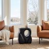 Trung Black Modern Solid Mango Wood Side Table