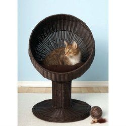 Fancy Cat Modern Wicker Cat Bed, Espresso