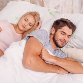 King Size White Shredded Memory Foam Pillow with Bamboo Rayon Cover (Option: White)