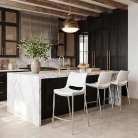 Modern Ace Black Faux Leather Counter Stool with Brushed Stainless Steel Frame (Option: White & Silver)